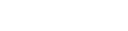 WordPress Update by Schönfelder EDV