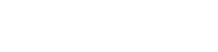 WordPress Update by Schönfelder EDV